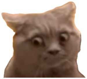 Grey cat with bulging wide eyes and a stunned, bewildered expression sticker