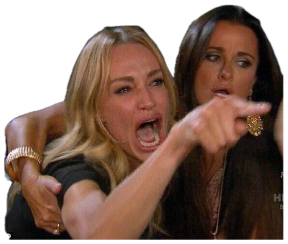 Blonde woman held back mid-scream, pointing accusingly while another woman looks on sticker