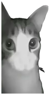 Tabby cat captured in night-vision mode, glowing face filling the frame with haunting intensity sticker