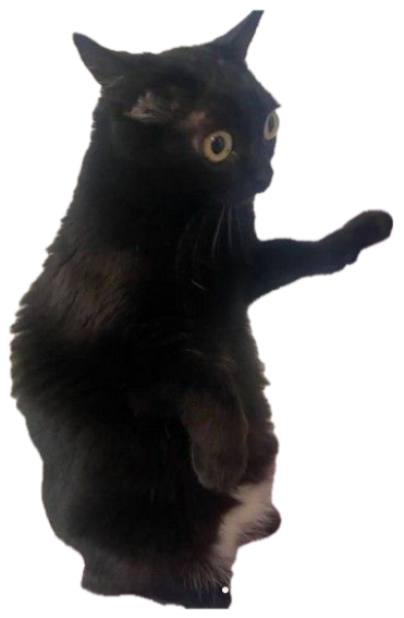 Black cat frozen mid-scratch on a cat tree with wide, guilty-looking eyes sticker