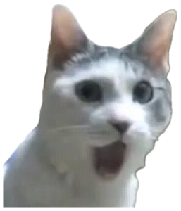 Grey and white cat with eyes blown wide and mouth open in pure shock sticker