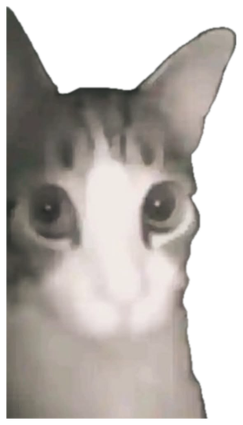 Grainy cat in a dark room staring wide-eyed at the camera like it saw something sticker