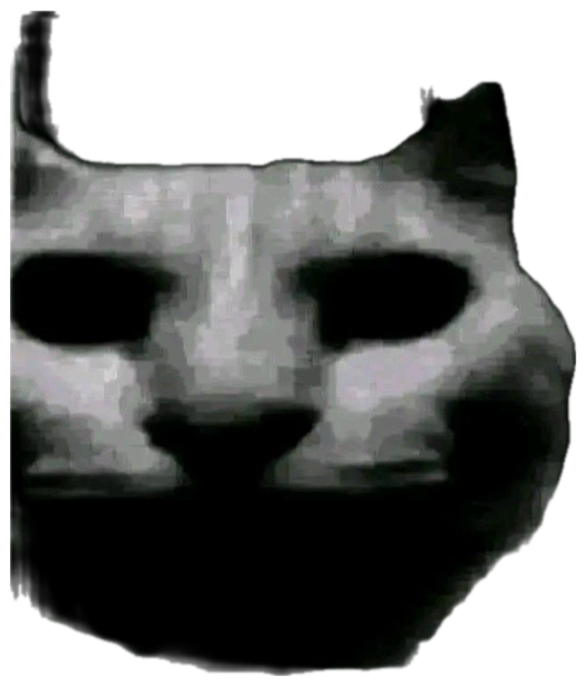 Grainy dark close-up of a cat's face with an unsettling blank stare sticker
