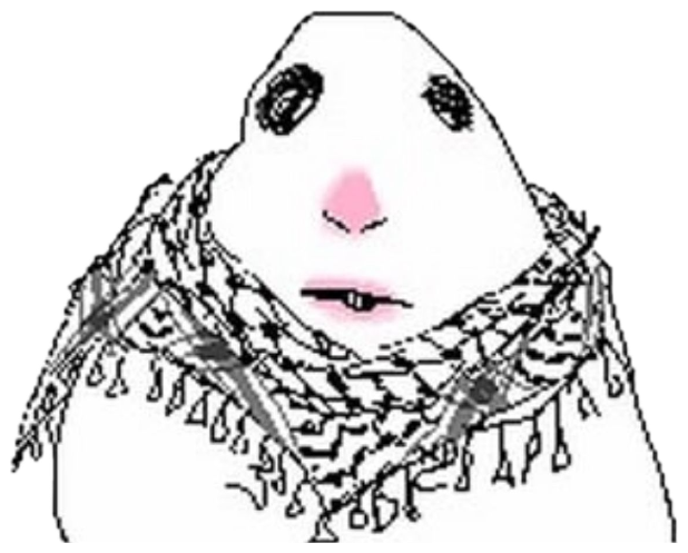 Wojak-style cartoon NPC wearing a keffiyeh scarf, staring blankly with rosy cheeks sticker