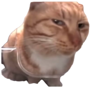 Orange cat squished behind clear plastic with a fed-up, annoyed face sticker