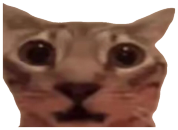 Cat with huge dark eyes staring intensely, captioned 'the opps watching me eat all my fruits and veggies' sticker