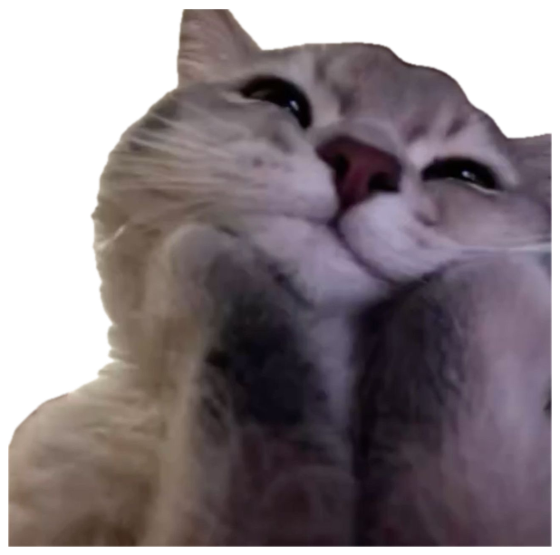 Fluffy gray cat pressing its squishy face into the camera, eyes full and soft sticker