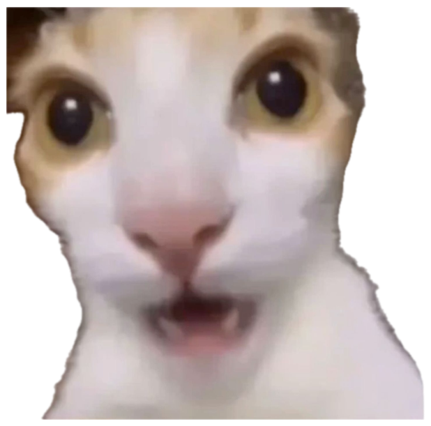 Calico cat filmed super close with huge shocked eyes and a slightly open mouth sticker
