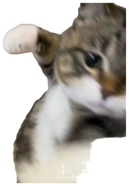 Blurry action shot of a cat mid-swipe, paw lunging at the camera sticker