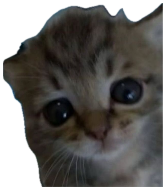 Sad-eyed kitten against a starry night backdrop, text says 'you did well today and im proud of u' sticker
