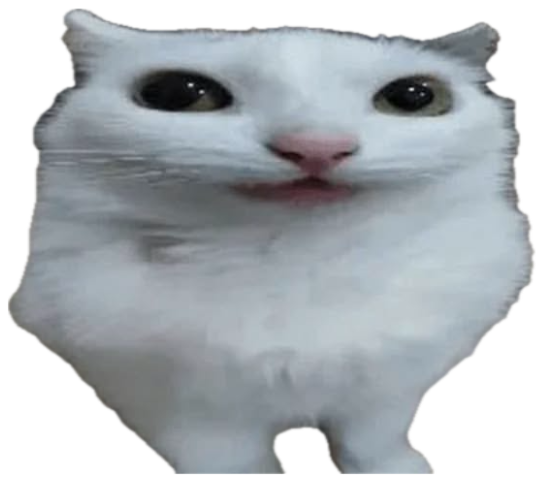 White fluffy cat staring wide-eyed directly into the camera with its mouth slightly open sticker