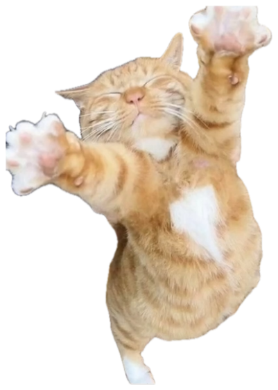 Orange tabby cat standing on hind legs with both paws raised triumphantly, captioned 'Sending you paws-itive energy' sticker
