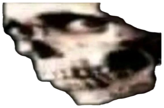 Grainy, dark, heavily blurred close-up of a shadowy skull-like face sticker