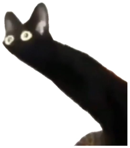 Black cat stretching its neck impossibly long with huge unblinking eyes sticker