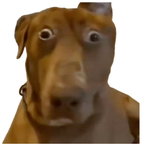 Wide-eyed brown dog frozen in a horrified, bug-eyed stare sticker