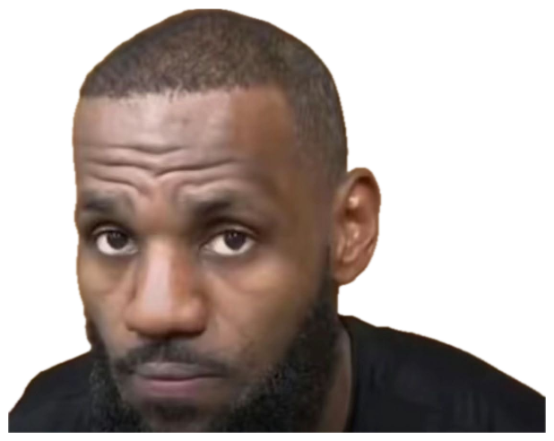 LeBron James staring straight into the camera with a flat, completely blank expression sticker