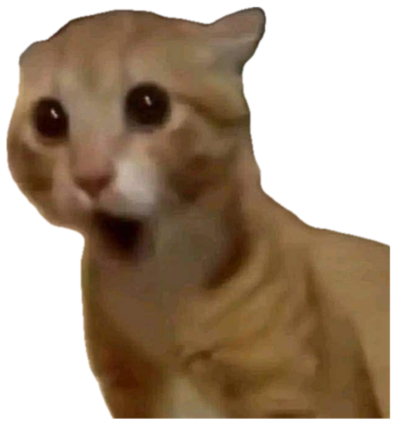 Orange cat with huge eyes and mouth open in pure startled shock sticker