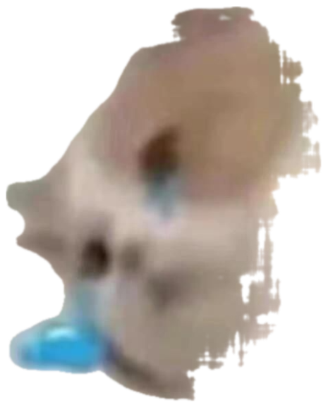 Blurry cat with a teary blue eye looking utterly defeated sticker