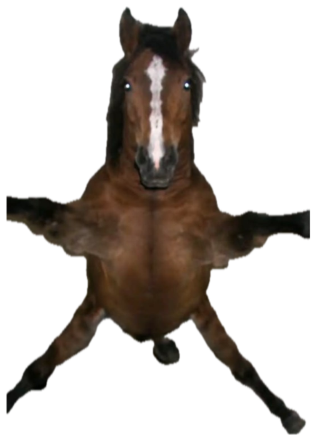 Horse mid-leap in a living room with all four legs flung out sideways sticker