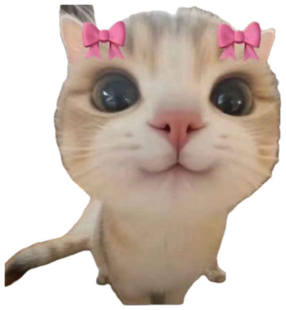 Kitten with a pink bow filter leaning into the lens with huge sparkly eyes sticker