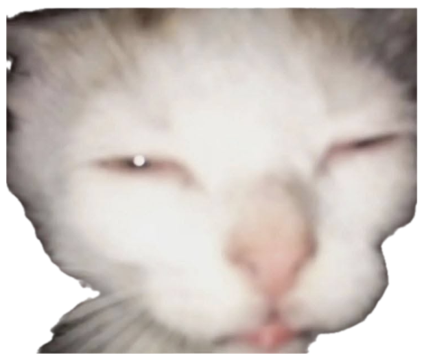 Cream cat with barely open eyes captioned about fighting the sleep allegations sticker