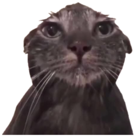 Soaking wet dark cat sitting in the bath with a dead-serious death glare sticker