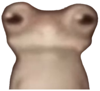 Blurry close-up of a frog staring straight into the camera with big unblinking eyes sticker