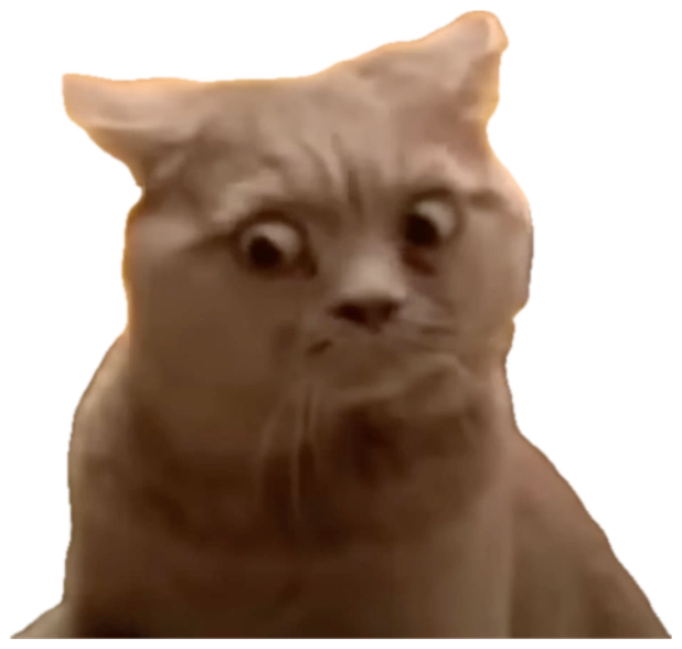Scottish fold cat with wide worried eyes frozen mid-thought sticker
