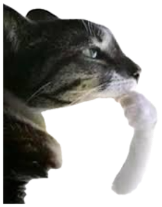 Cat in profile touching its paw to its chin captioned 'Hmm' like it's pondering sticker