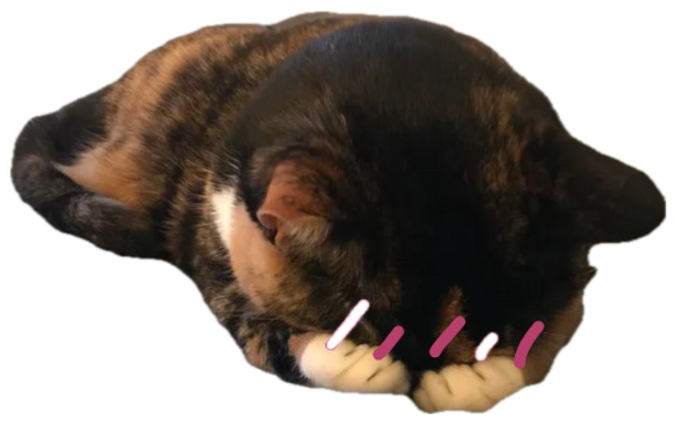 Tortoiseshell cat hiding its face in its paws with drawn frustration marks sticker
