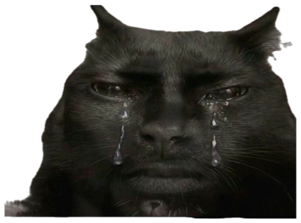 Black cat with human-like teary eyes crying dramatically in the dark sticker