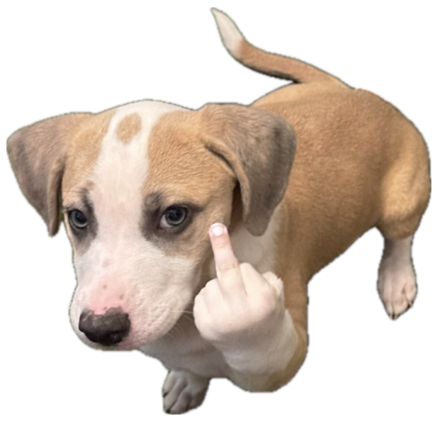 Puppy sitting on a rug appearing to raise a photoshopped middle finger at the camera sticker