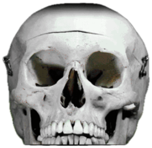 Human skull in a forest under bold red thumbnail text 'Our BRAINS Are SHRINKING' sticker