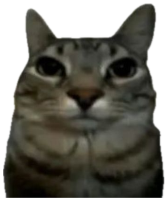 Tabby cat staring dead-eyed at the camera with a giant explosion blooming behind it sticker