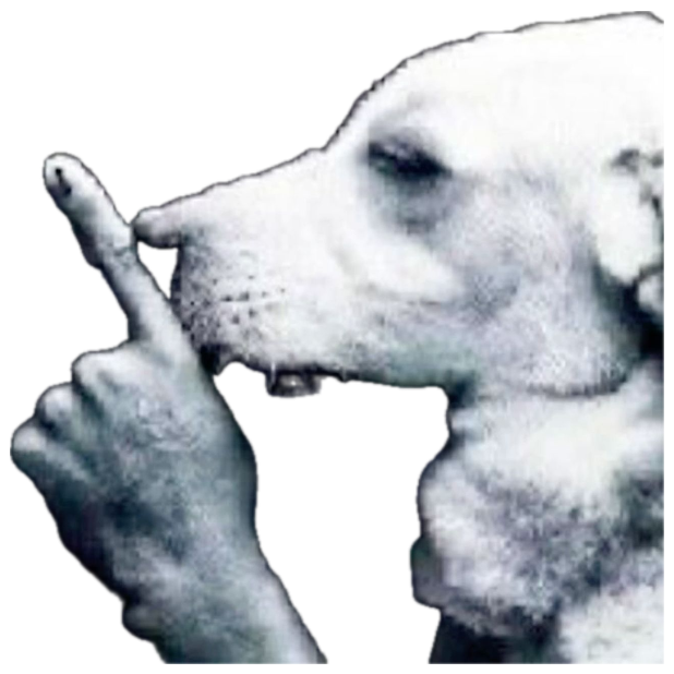 Black-and-white dog held up next to a hand flipping the middle finger sticker