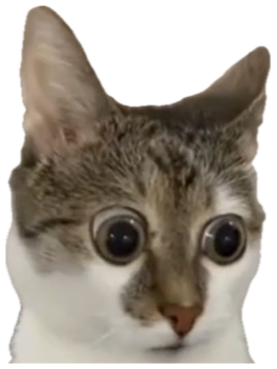 Tabby kitten with cartoonishly huge dilated eyes peering over the edge of something in pure alarm sticker