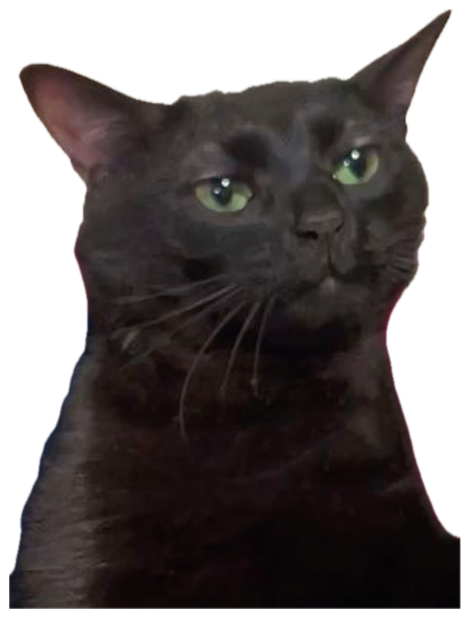 Black cat with wide green eyes staring straight ahead looking mildly judgmental sticker