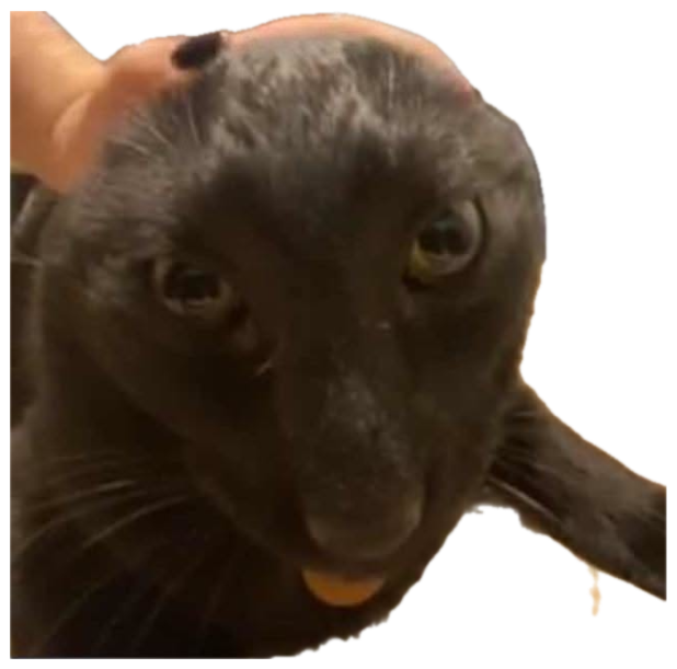 Black cat being petted with a wide-eyed, startled stare and its little tongue out sticker