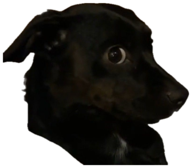 Black dog on a couch with huge side-eyes, looking absolutely terrified sticker