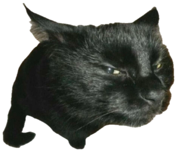 Black cat curled up with narrowed eyes giving a deeply unimpressed, judgmental look sticker