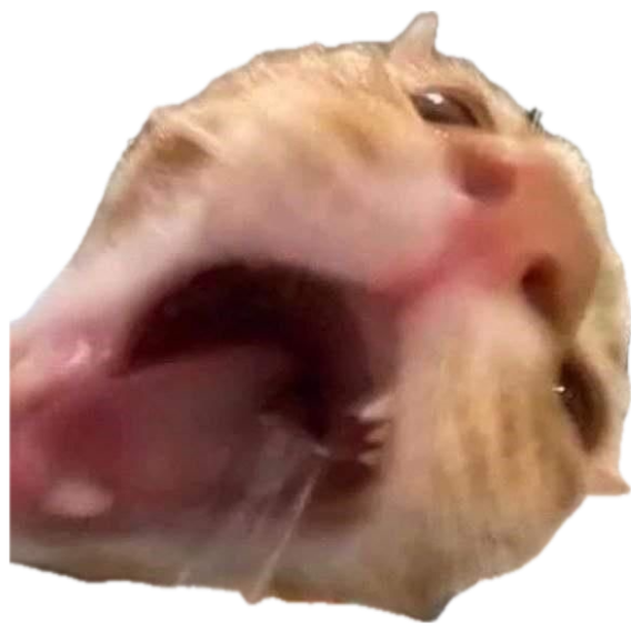 Orange cat pressing its wide-open screaming mouth against a glass surface from below sticker