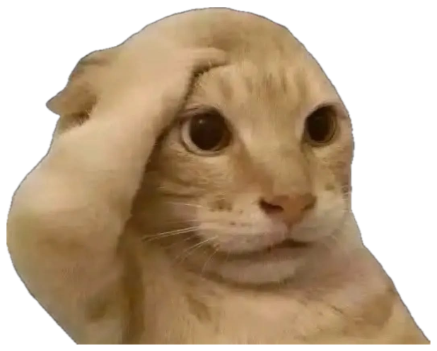 Cat with a paw pressed to its head, looking sheepish and unsure sticker