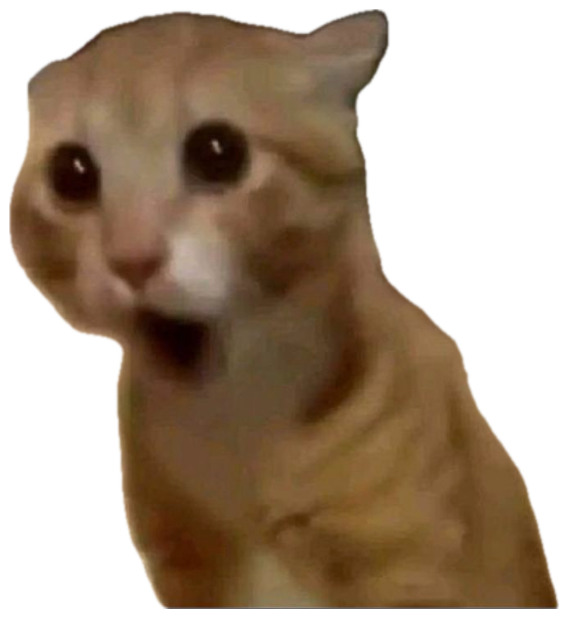 Orange kitten with huge black eyes staring up at the camera in pure shock sticker