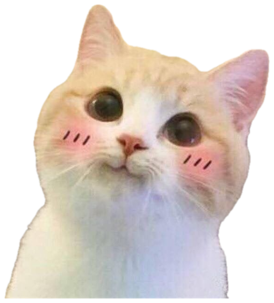 Cream kitten with huge eyes and drawn-on blush lines looking way too pleased sticker