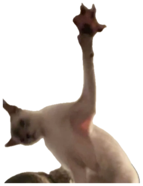 Blurry cat stretched into a long-necked creature reaching toward the ceiling sticker
