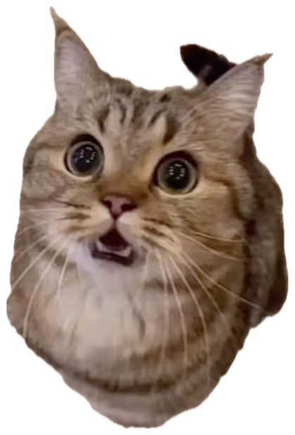 Tabby cat with massive dilated pupils and open mouth, caught mid-startle sticker