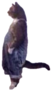 Cat standing upright against a wall captioned 'Idk but they wylin B' sticker