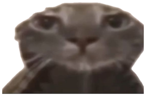 Grumpy grey cat staring straight ahead with caption about giving its 'honest reaction' sticker