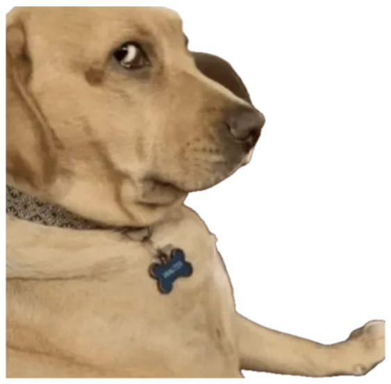 Yellow lab throwing a serious side-eye over its shoulder sticker