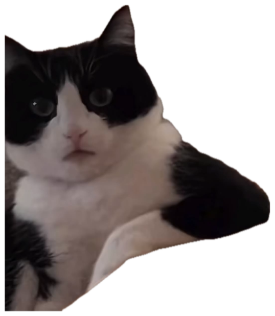 Tuxedo cat lounging against a cushion with a wide-eyed, deeply unimpressed stare sticker